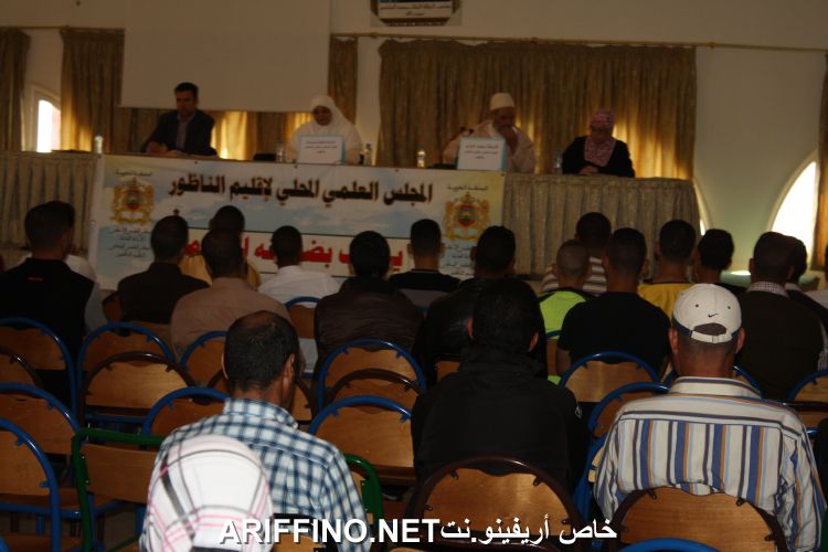 nador3137