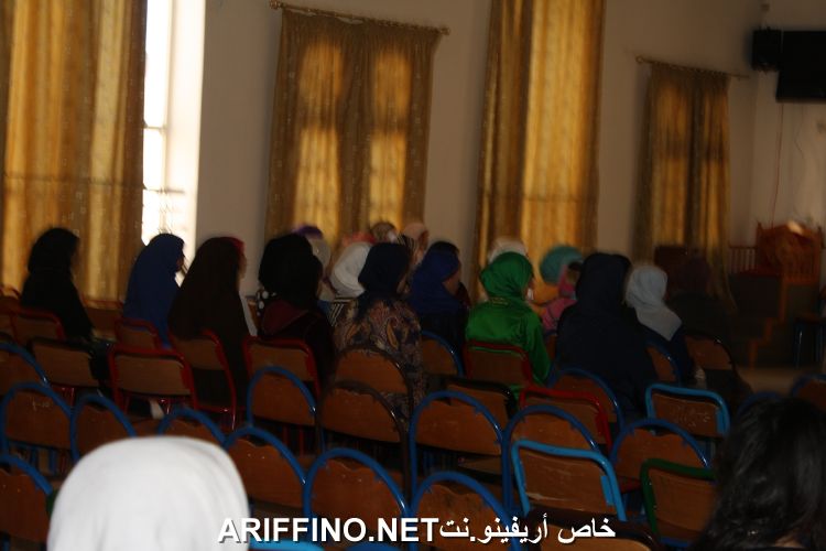 nador3138