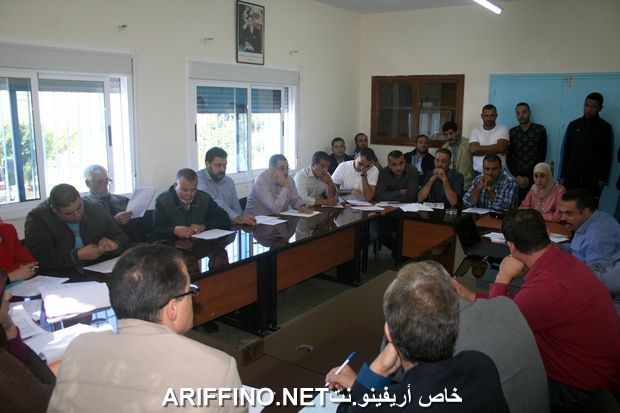 nador286