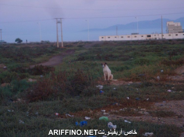 nador3201