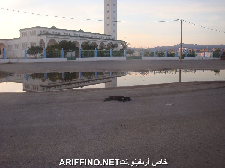 nador3203