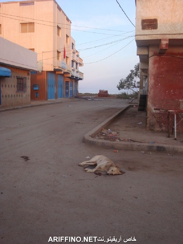nador3206