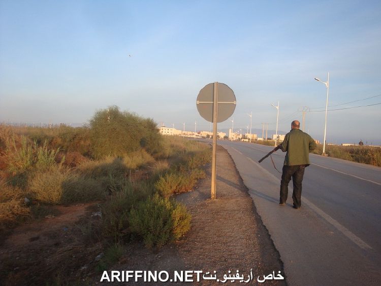 nador3208