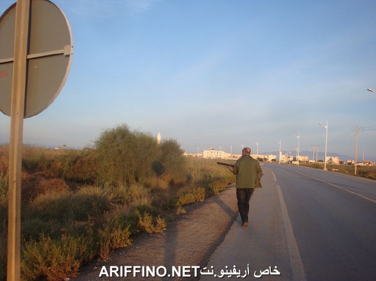 nador3209