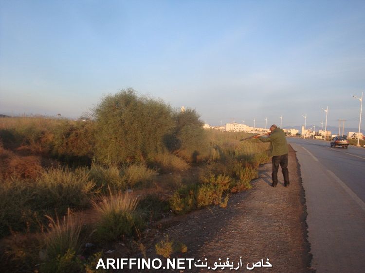 nador3210