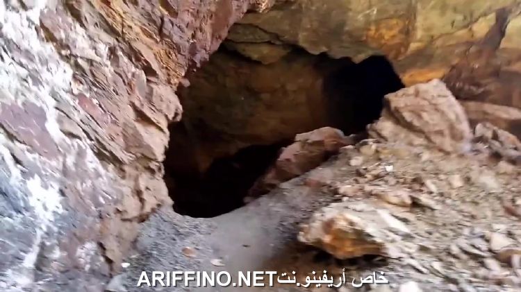nador3231
