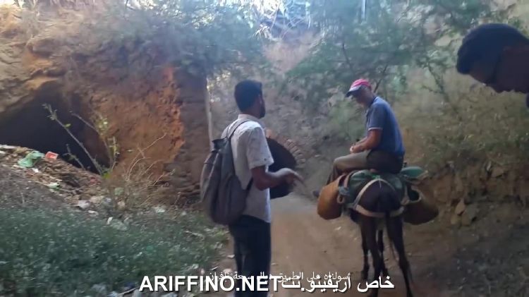 nador3245