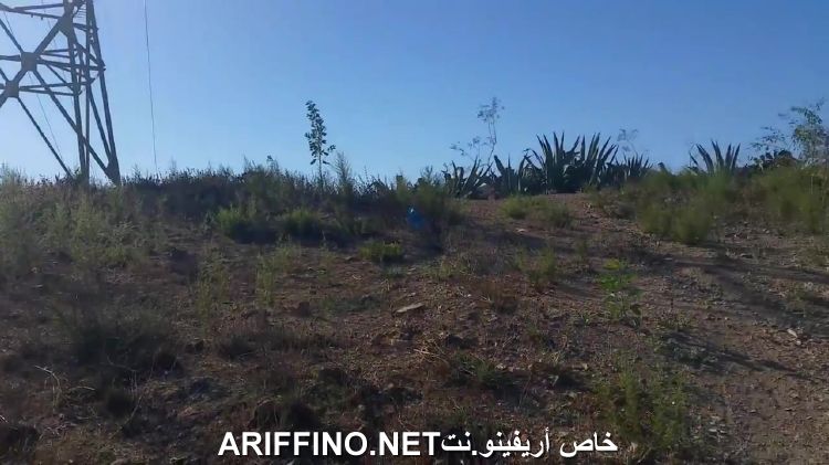 nador3249