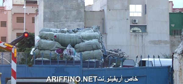nador337