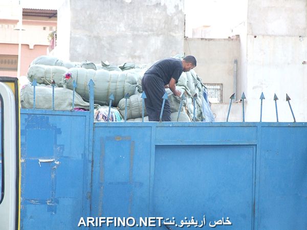 nador339