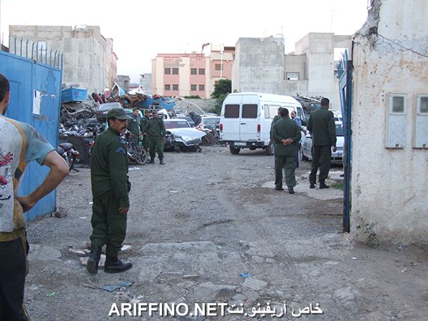 nador341