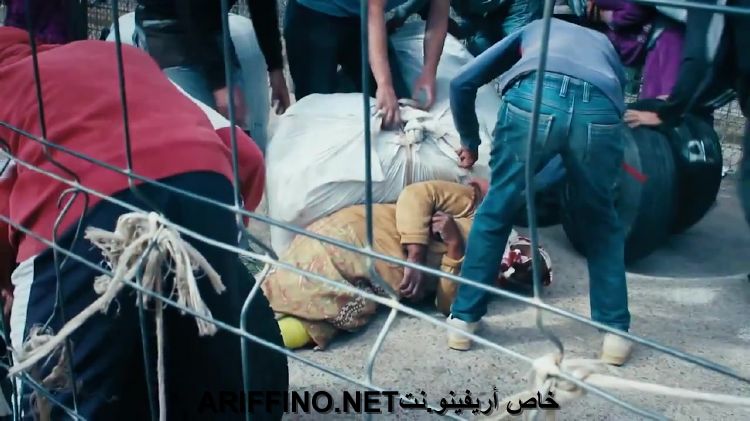 nador3461