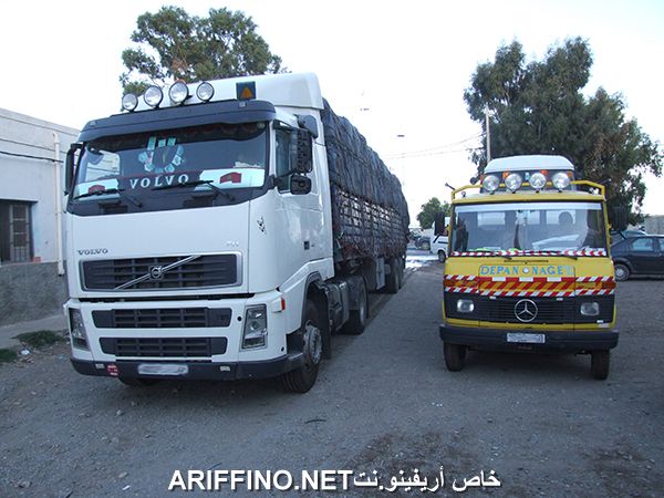 nador356