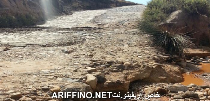 nador4350