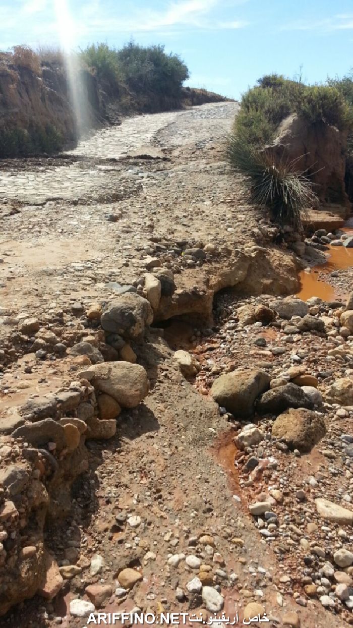 nador4353