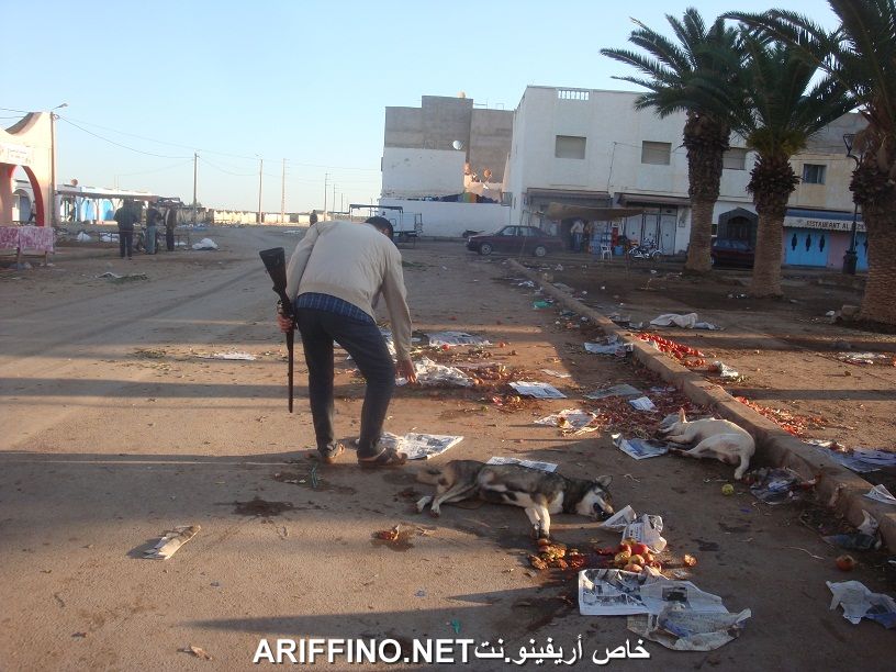 nador557
