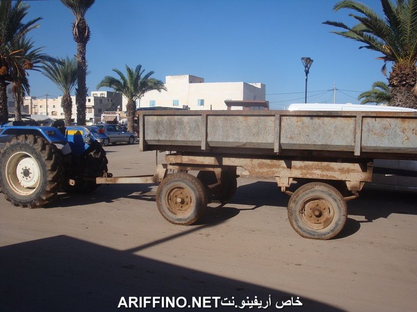 nador566