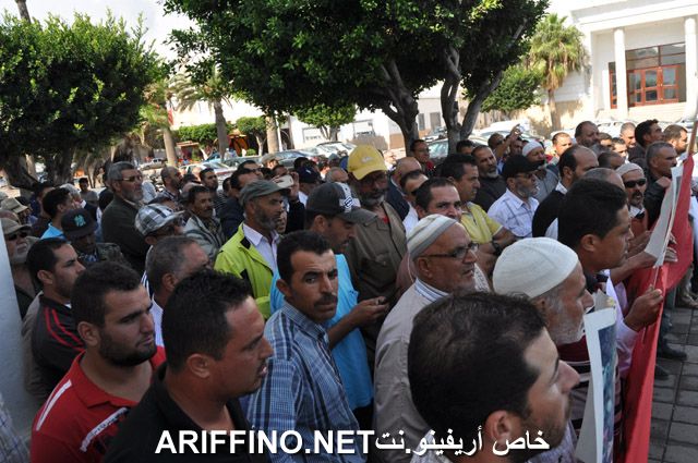 nador595