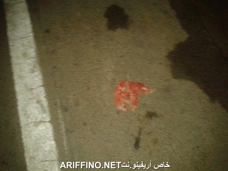 nador768