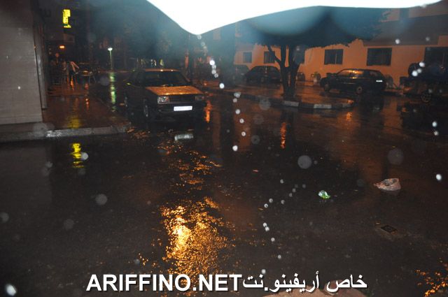 nador799