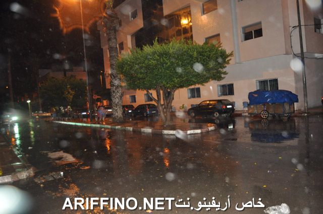 nador801