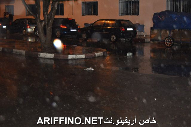 nador808