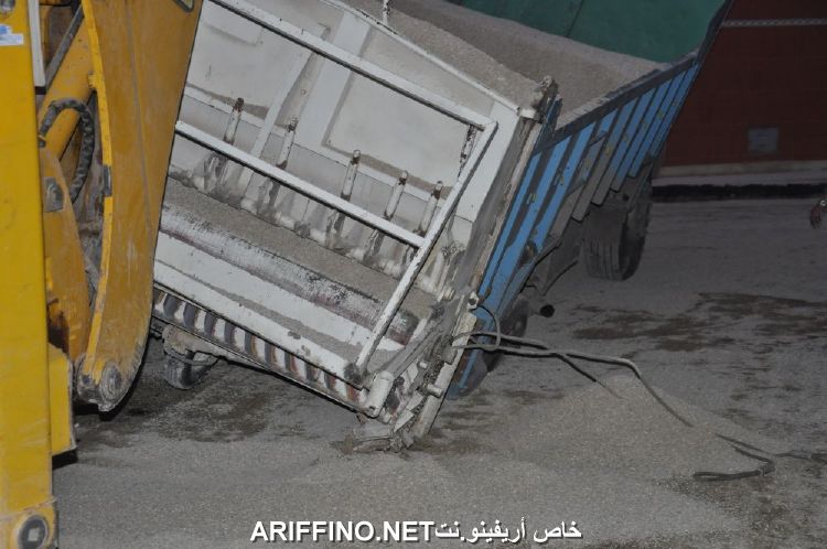 nador830