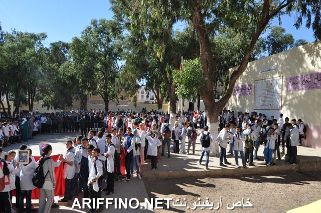 nador078