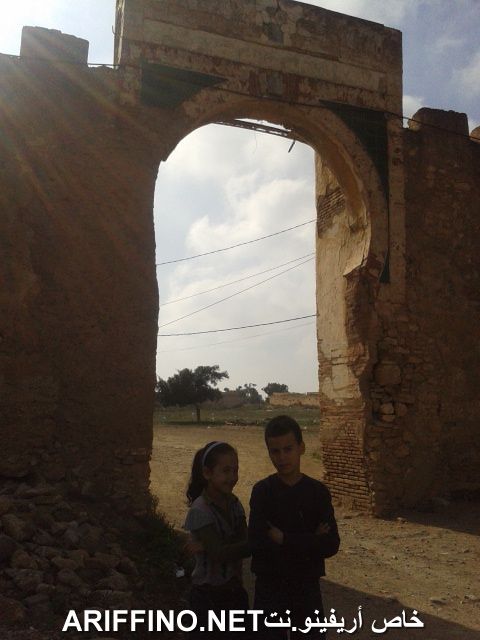 nador1088