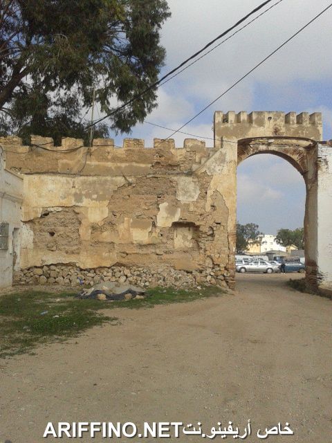 nador1091