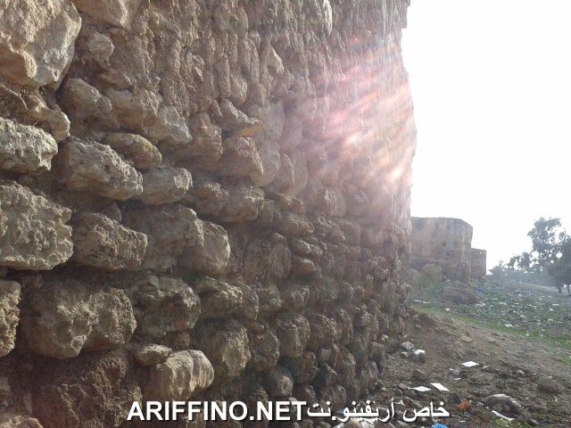 nador1102