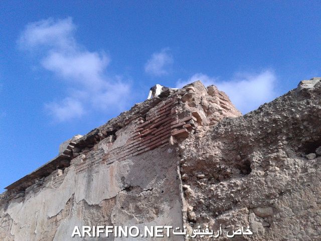 nador1105