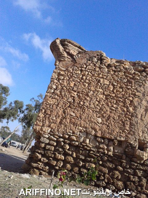 nador1115