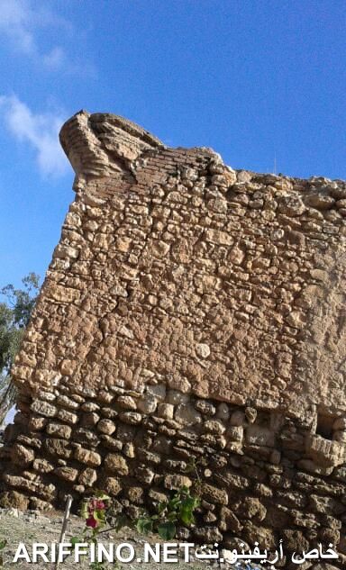 nador1116