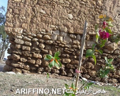 nador1118