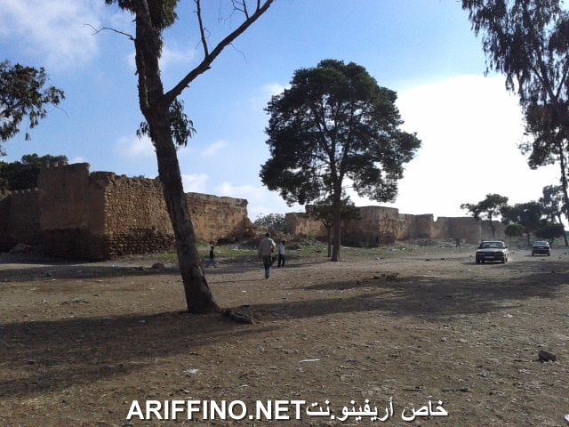 nador1120