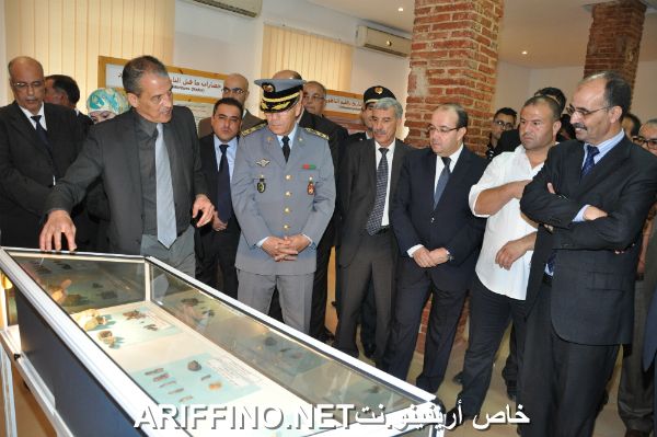 nador1196