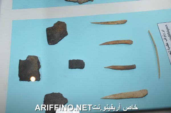 nador1198