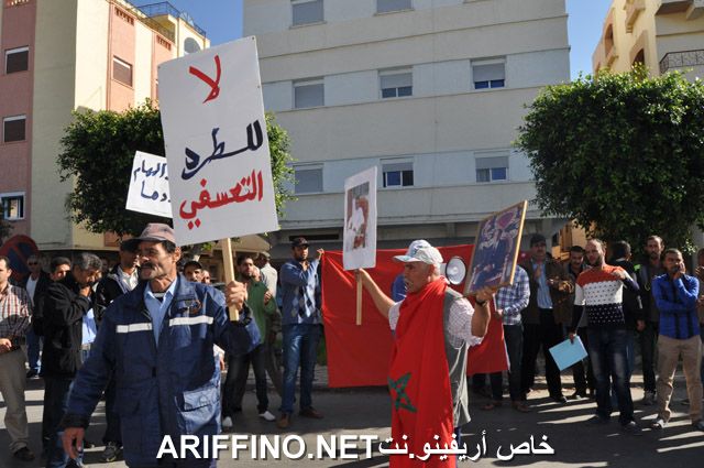nador1221