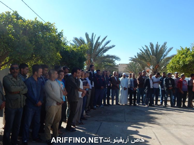 nador131