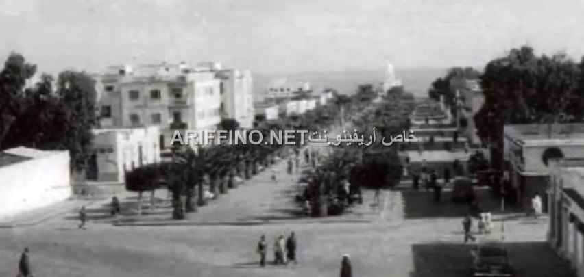 nador1611