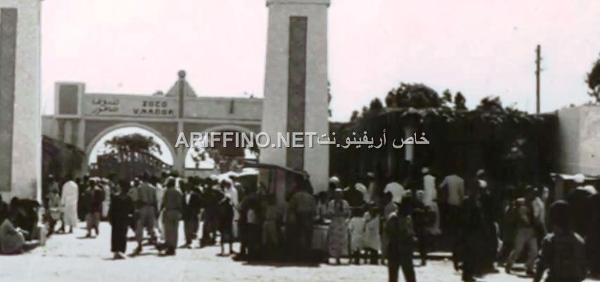 nador1623