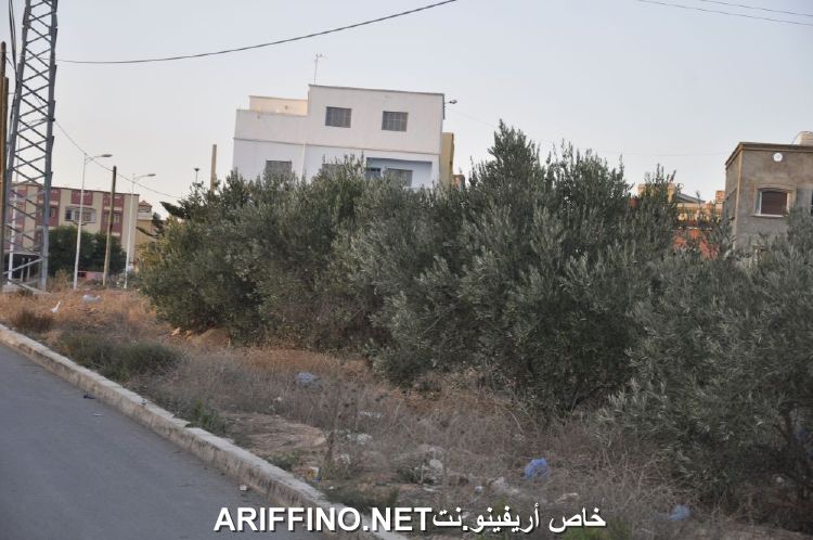 nador2176