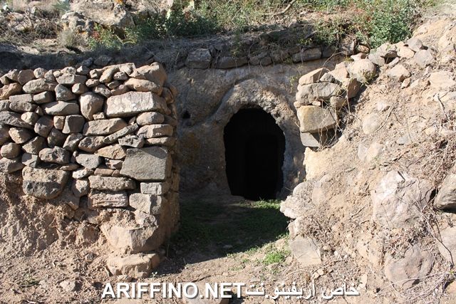 nador2203