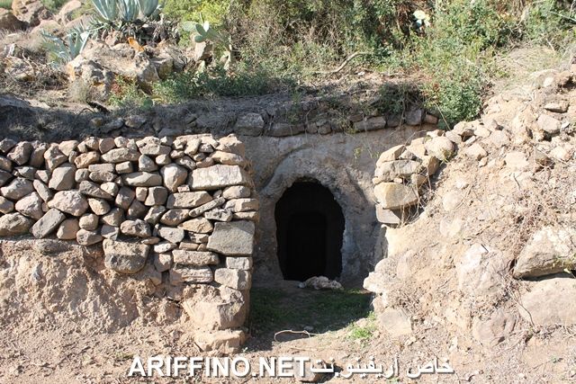 nador2206