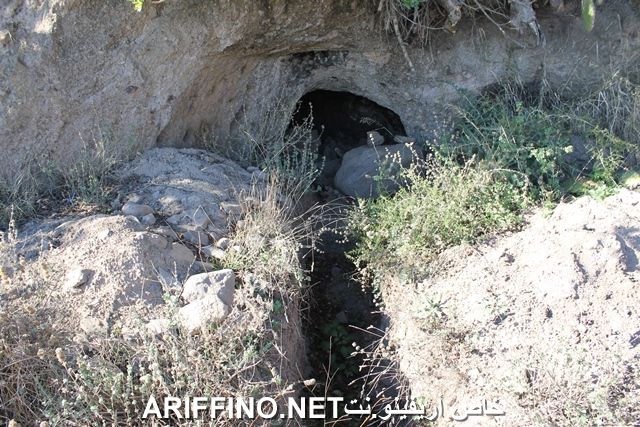 nador2209