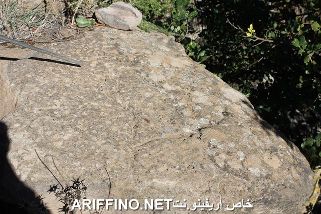 nador2211
