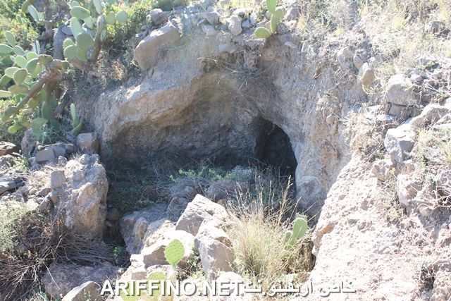 nador2212