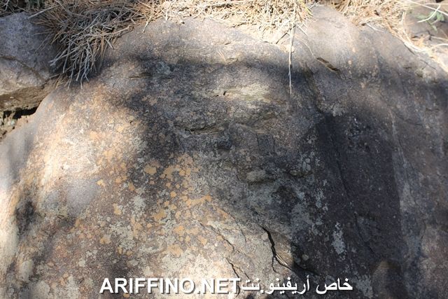 nador2214