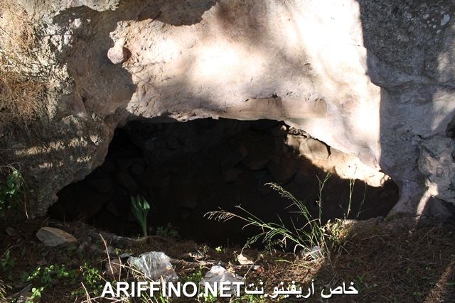 nador2217
